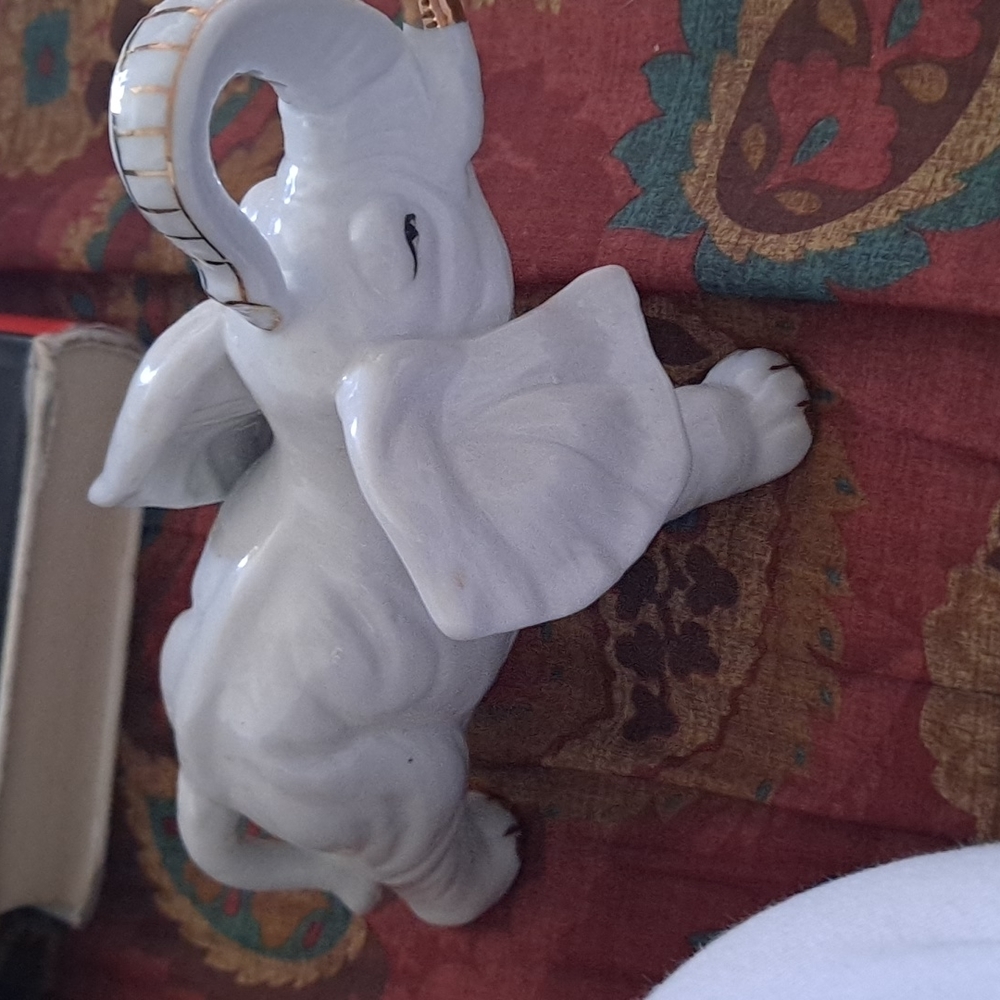 Elefante blanco